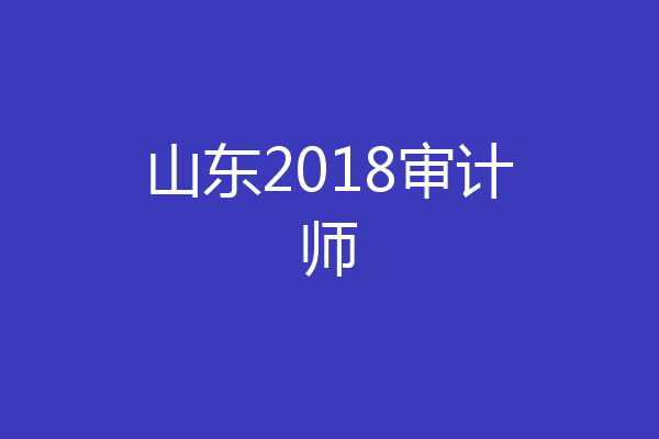 山东2018审计师