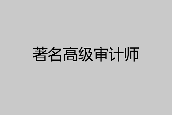 著名高级审计师