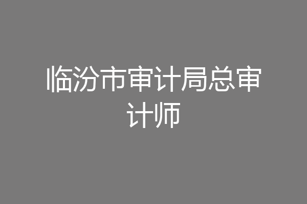 临汾市审计局总审计师