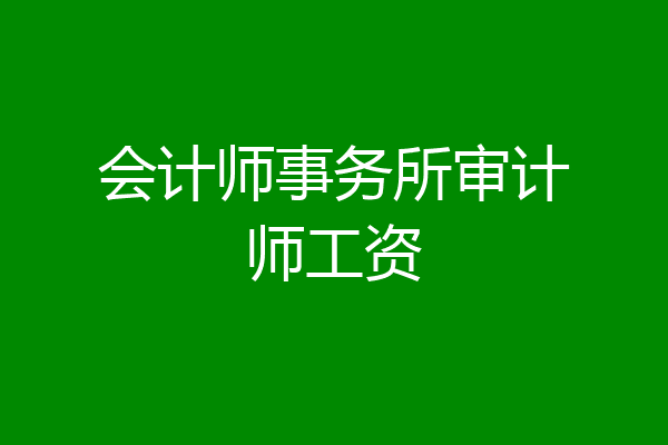 会计师事务所审计师工资
