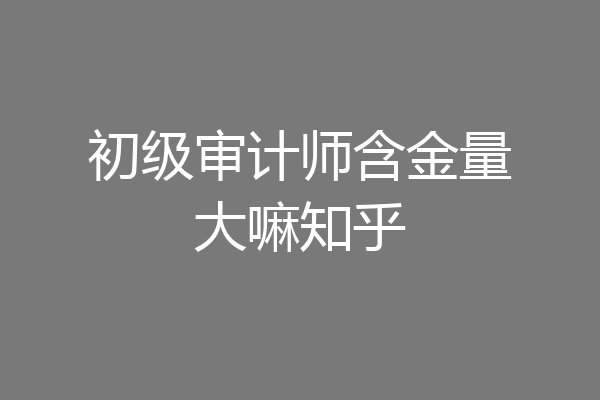 初级审计师含金量大嘛知乎