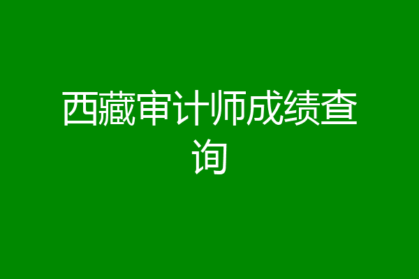 西藏审计师成绩查询