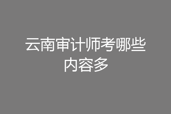 云南审计师考哪些内容多