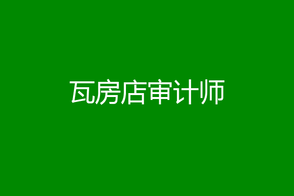 瓦房店审计师