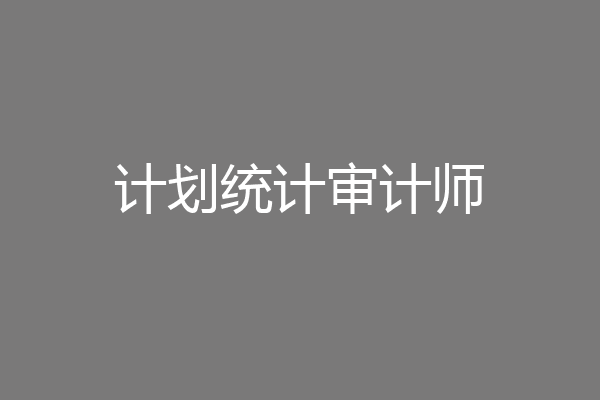 计划统计审计师