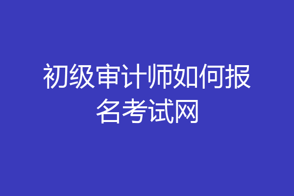 初级审计师如何报名考试网