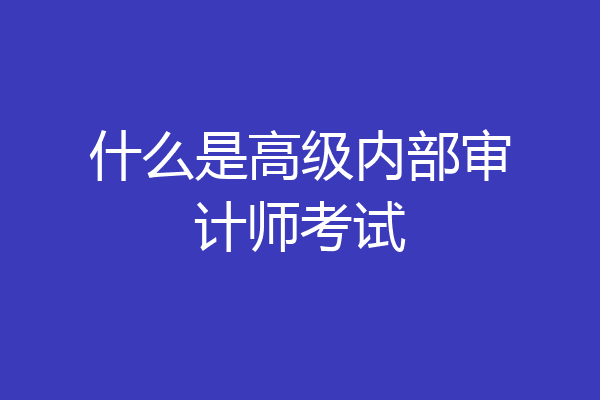 什么是高级内部审计师考试
