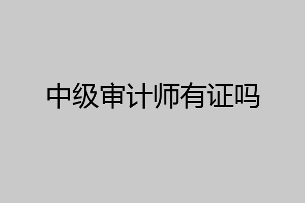 中级审计师有证吗