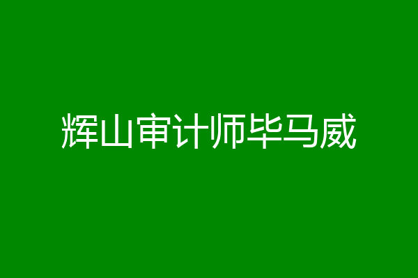 辉山审计师毕马威
