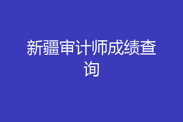 新疆审计师成绩查询