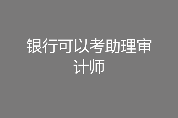 银行可以考助理审计师