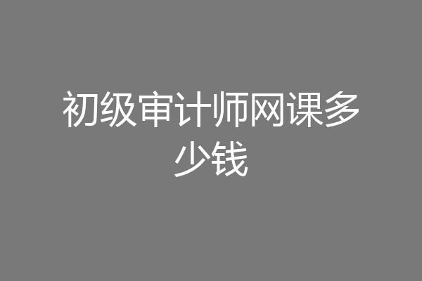 初级审计师网课多少钱
