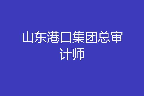 山东港口集团总审计师