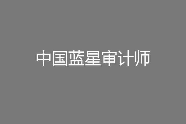 中国蓝星审计师
