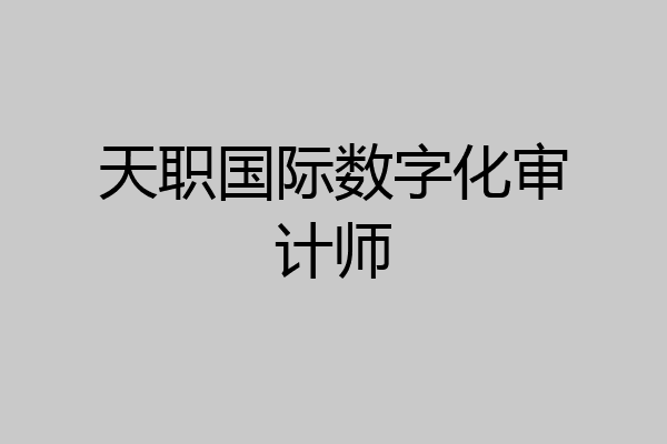 天职国际数字化审计师