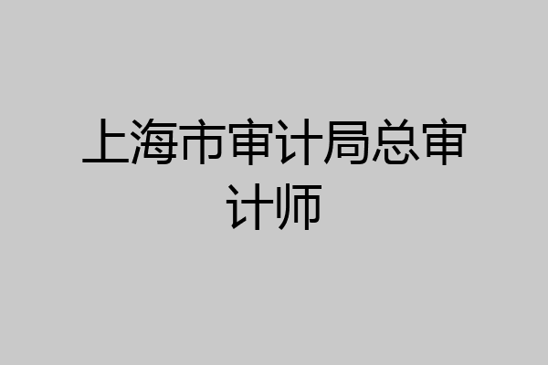 上海市审计局总审计师