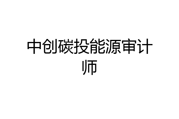中创碳投能源审计师