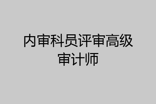 内审科员评审高级审计师