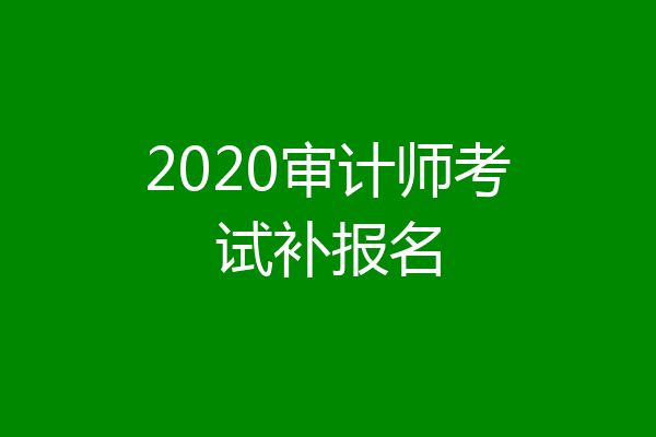 2020审计师考试补报名
