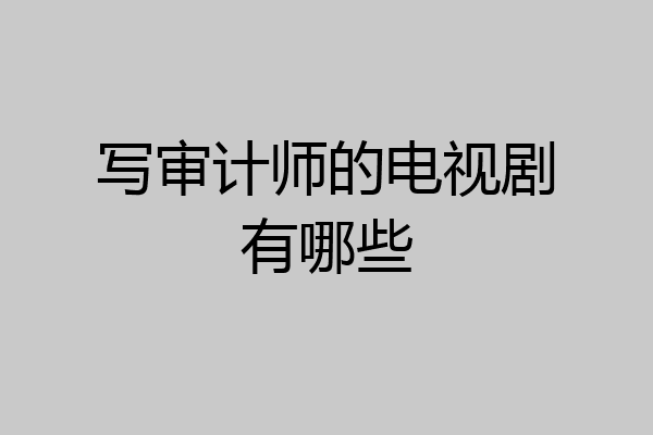 写审计师的电视剧有哪些