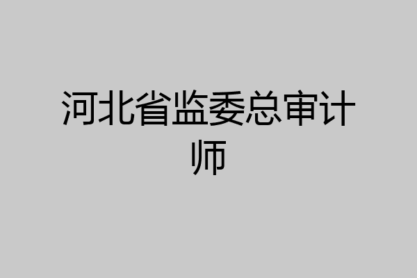 河北省监委总审计师