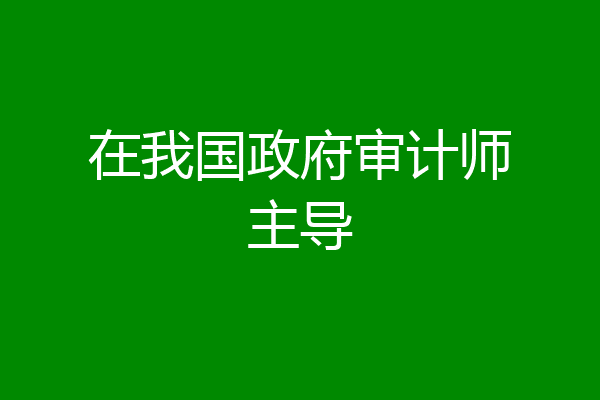在我国政府审计师主导