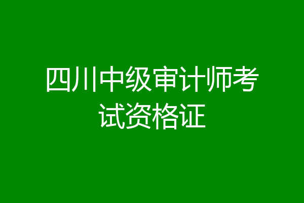 四川中级审计师考试资格证