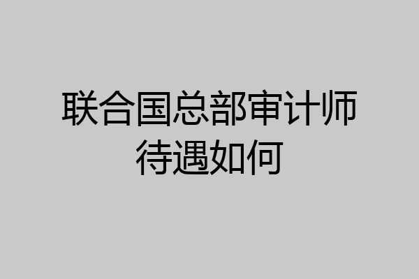 联合国总部审计师待遇如何