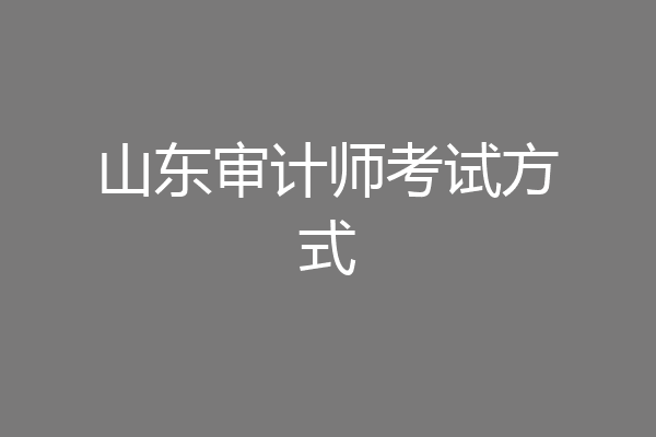 山东审计师考试方式