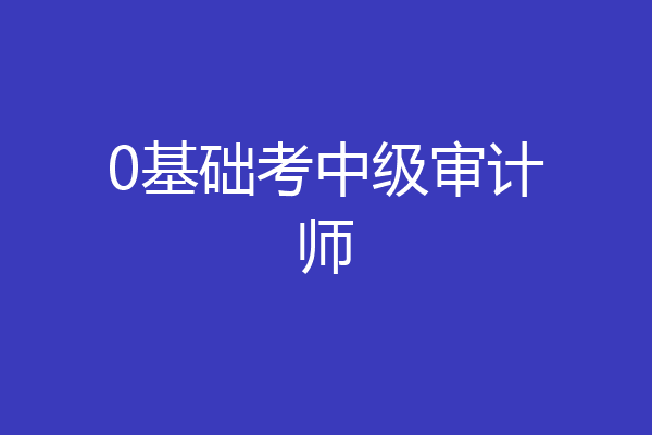 0基础考中级审计师