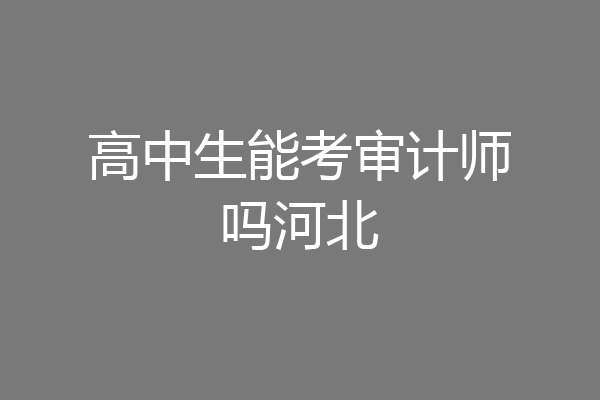 高中生能考审计师吗河北