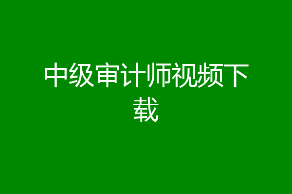 中级审计师视频下载