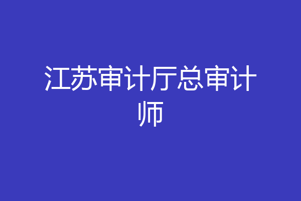 江苏审计厅总审计师