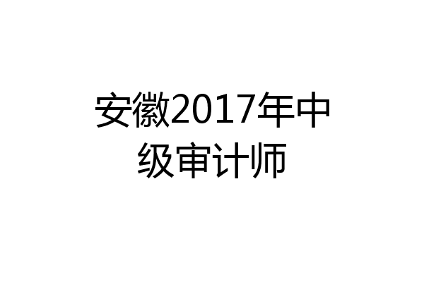 安徽2017年中级审计师
