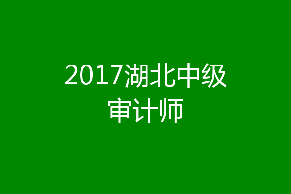 2017湖北中级审计师