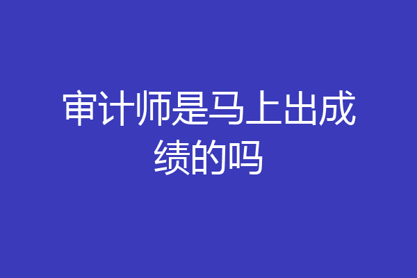 审计师是马上出成绩的吗