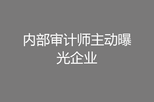 内部审计师主动曝光企业