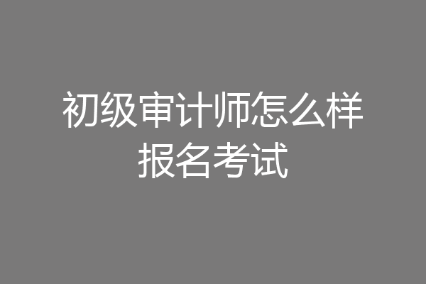 初级审计师怎么样报名考试