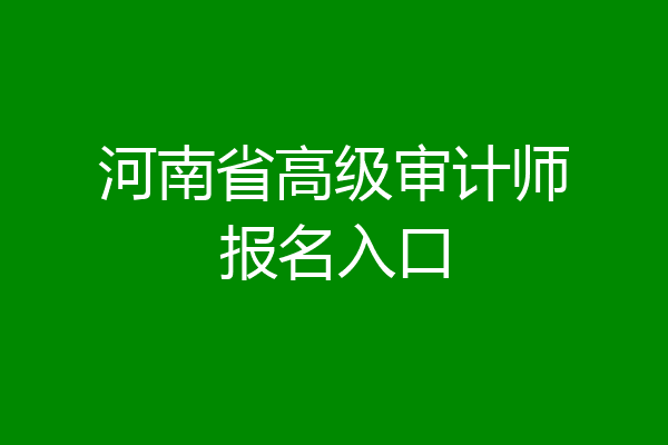 河南省高级审计师报名入口