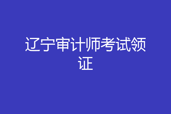 辽宁审计师考试领证