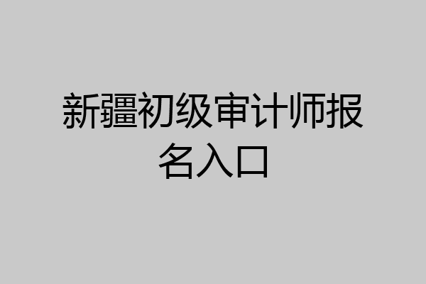 新疆初级审计师报名入口