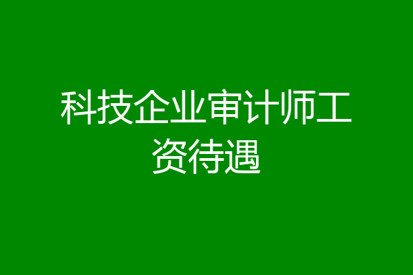 科技企业审计师工资待遇