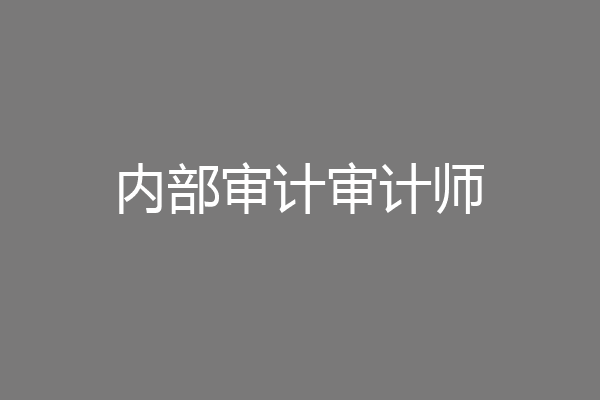 内部审计审计师