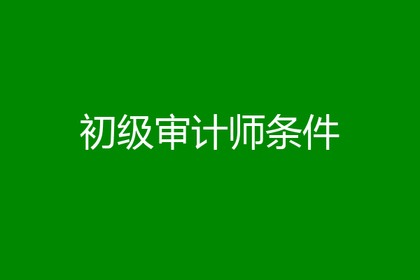 初级审计师条件
