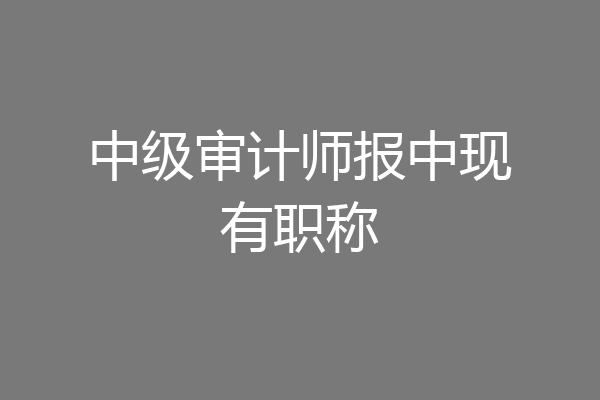 中级审计师报中现有职称