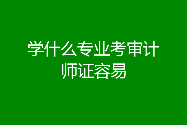 学什么专业考审计师证容易