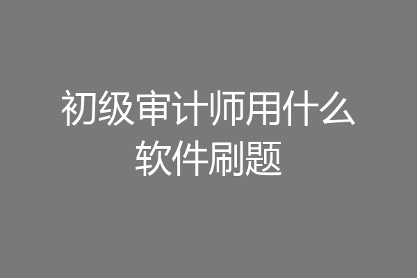 初级审计师用什么软件刷题