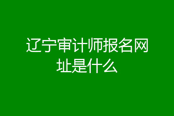 辽宁审计师报名网址是什么