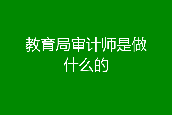 教育局审计师是做什么的