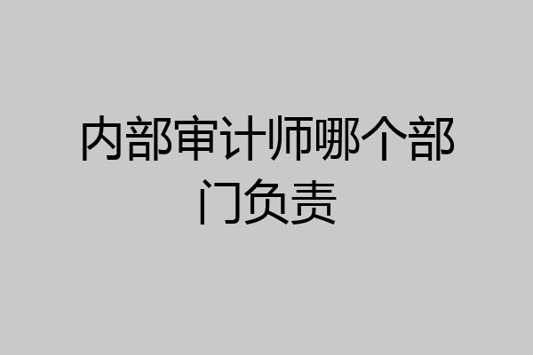 内部审计师哪个部门负责